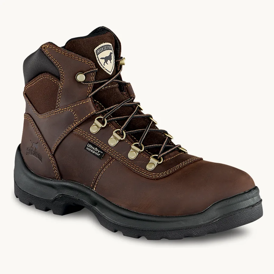 Irish Setter 83618 Ely